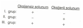 10.Sınıf Bıyolojı Oksıjenlı ve Oksıjensız Solunum Testlerı 2