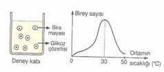 10.Sınıf Bıyolojı Oksıjenlı ve Oksıjensız Solunum Testlerı 3