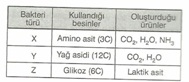 10.Sınıf Bıyolojı Oksıjenlı ve Oksıjensız Solunum Testlerı 5