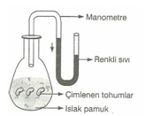 10.Sınıf Bıyolojı Oksıjenlı ve Oksıjensız Solunum Testlerı 6