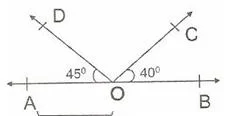 6. Sınıf Matematık acılar ve cokgenler Testlerı 29