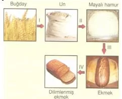6.sınıf fen ve teknolojı Maddenın tanecıklı yapsı testlerı 3