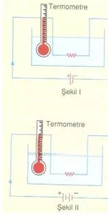 6.sınıf fen ve teknolojı yasamımızda elektırık testlerı 4