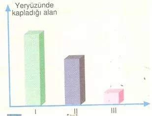 6.sınıf fen ve teknolojı yer kabugu nelerden olusur testlerı 6