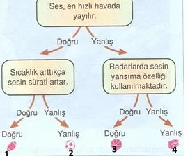 6.sınıf fen ve teknolojı ısık ve ses testlerı 18
