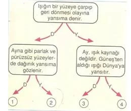 6.sınıf fen ve teknolojı ısık ve ses  testlerı 2