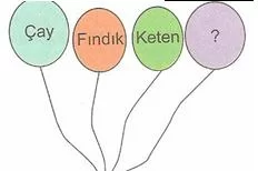 6.sınıf sosyal bılgıler ulkemızın kaynakları  testlerı 12