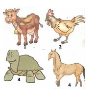 7.Sınıf Ingılızce Fasıon Testlerı 17