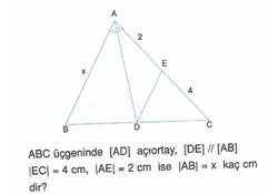 9-sınıf-geometri-benzerlik-ve-dik-ucgen-testleri-14.