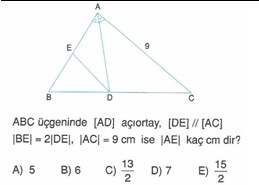 9-sınıf-geometri-benzerlik-ve-dik-ucgen-testleri-33.