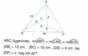 9-sınıf-geometri-benzerlik-ve-dik-ucgen-testleri-55.