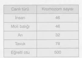10-sinif Biyoloji-canliliğin-Temel-Birimi-Testleri 3.