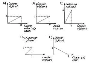 9-sinif-biyoloji-testleri-62.