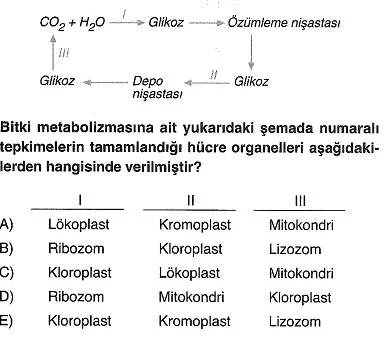 9-sinif-biyoloji-testleri-91.