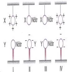 lys-fizik-madde-ozellikleri-testleri-450.