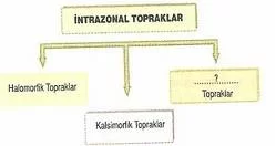 10-sinif-cografya-topragin-hikayesi-testleri-1-Optimized