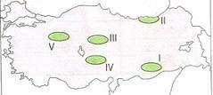 10-sinif-cografya-turkiyede-toprak-tipleri-ve-toprak-kullanimi-testleri-7-Optimized