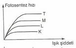 10.Sinif-Biyoloji-Fotosentez-ve-Kemosentez-Reaksiyonlari-Testleri-3-Optimized