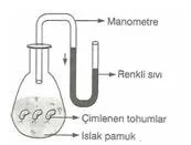 10.Sinif-Biyoloji-Oksijenli-ve-Oksijensiz-Solunum-Testleri-6-Optimized