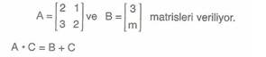 11.Sinif-Matematik-Matrisler-ve-Determinantlar-Testleri-55-Optimized