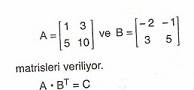 11.Sinif-Matematik-Matrisler-ve-Determinantlar-Testleri-89-Optimized