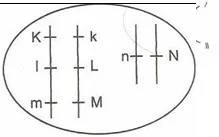 11.sinif-biyoteknoloji-testleri-2-Optimized