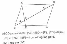 11.sinif-geometri-dikdortgen-testleri-121-Optimized