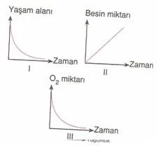 11.sinif-komunite-testleri-9-Optimized