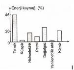 8.Sinif-Fen-ve-Teknoloji-Canlilar-ve-Enerji-Iliskileri-Testleri-16-Optimized