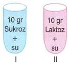 lys-ygs-biyoloji-canlilar-testleri-3.