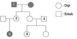 ygs-biyoloji-kalitim-testleri-3.
