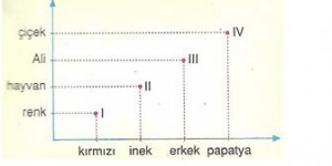 6.-Sinif-Turkce-sozcukte-anlam-testleri-11