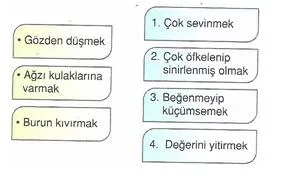 6.-Sinif-Turkce-sozcukte-anlam-testleri-14