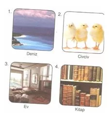 6.sinif-turkce-dil-bilgisi-testleri-15