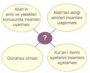7-sinif-sosyal-bilgiler-din-kulturu-ve-ahlak-bilgisi-testleri-11