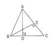 5.sinif-matematik-alan-olcme-testleri-7.