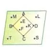 5.sinif-matematik-cokgenler-testleri-53.
