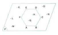 5.sinif-matematik-cokgenler-testleri-56.