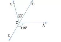 6-sinif-matematik-acilar-testi-coz-70