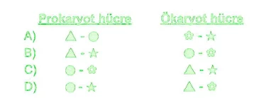 Screenshot_1
