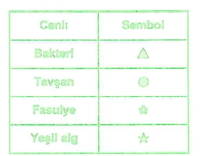 Screenshot_9
