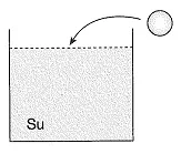8-sinif-fen-bilimleri-basinc-test-27