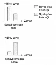 8-sinif-fen-bilimleri-dna-adaptasyon-ve-evrim-test-14