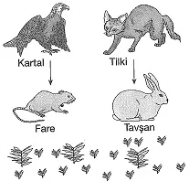 8-sinif-fen-bilimleri-canlilar-ve-enerji-12