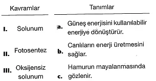 8-sinif-fen-bilimleri-canlilar-ve-enerji-20