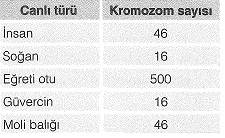 8-sinif-fen-bilimleri-hucre-bolunmesi-ve-kalitim-cozumlu-2-optimized