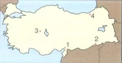 5-sinif-sosyal-bilgiler-ulkemizde-dogal-afetler-ve-insan-test-21-1